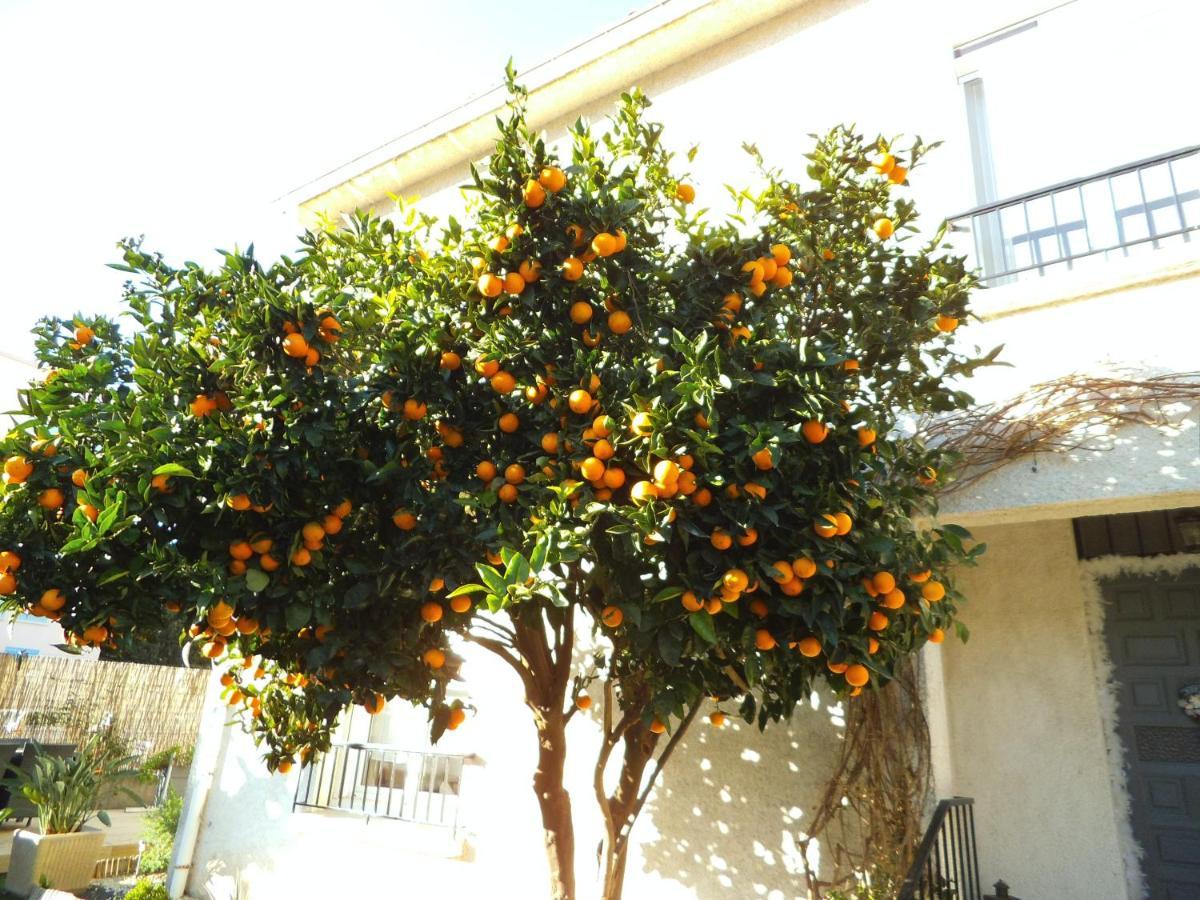 Au Bougainvillier Panzió Perpignan Kültér fotó